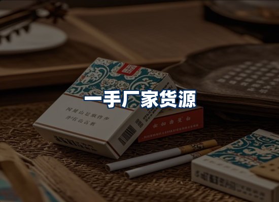 专业团队办公环境